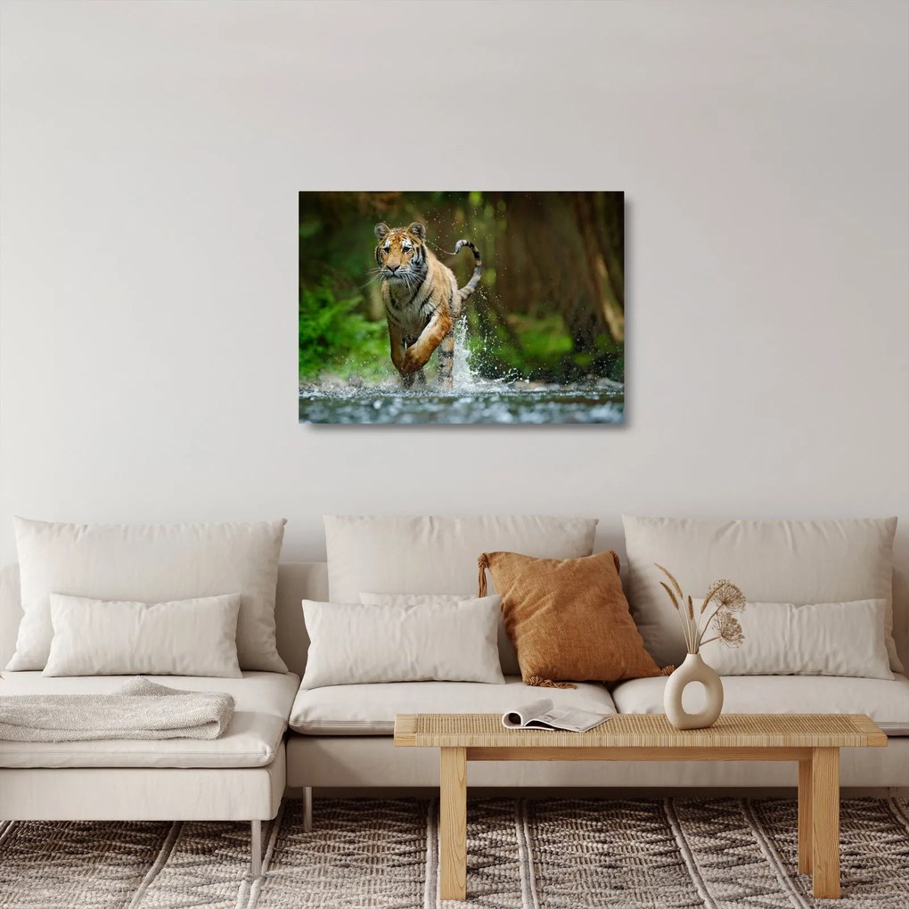 Tablou pe sticlă cu trigrul fugind (70x50 cm)