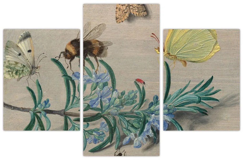 Tablou - Jan van Kessel the Elder, Insects and a Sprig of Rosemary, reproducere (90x60 cm)