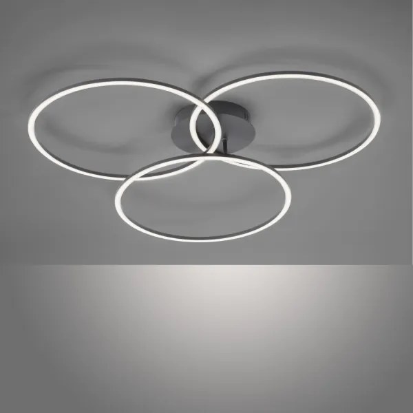 Plafonieră LED dimabilă IVANKA 3xLED/12W/230V Leuchten Direkt 14539-18