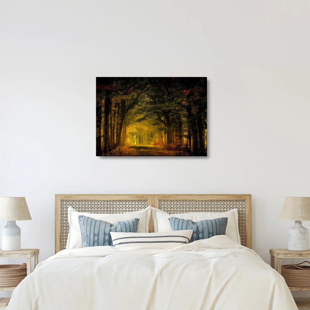 Tablou pe sticlă cu pădure (70x50 cm)