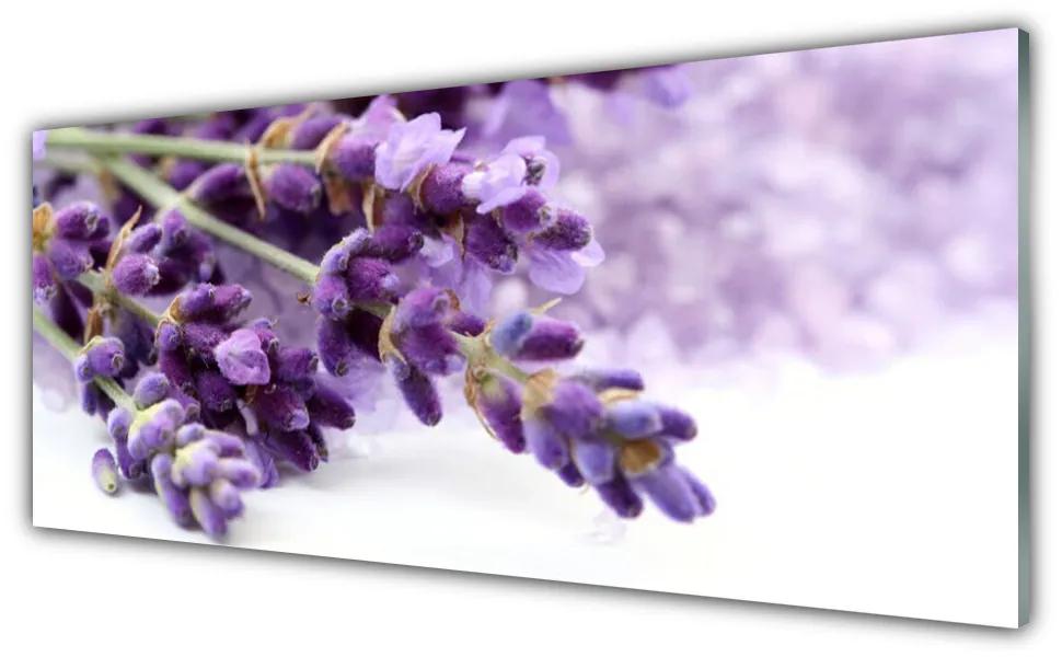 Tablou pe sticla Flori Floral violet