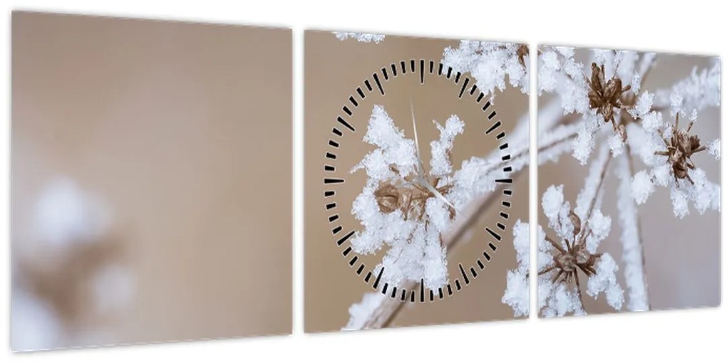 Tablou - Îngheț (cu ceas) (90x30 cm)