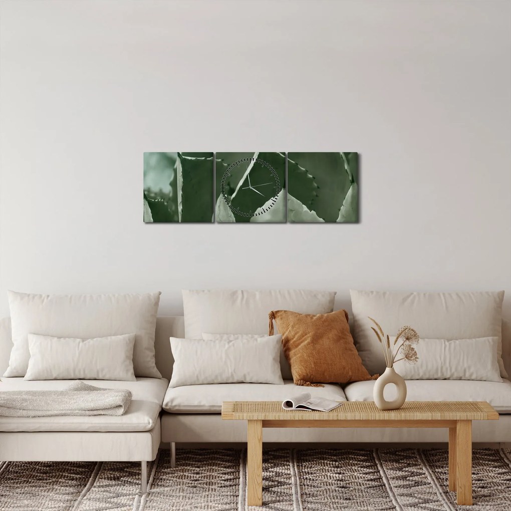 Tablou - Agave verde (cu ceas) (90x30 cm)