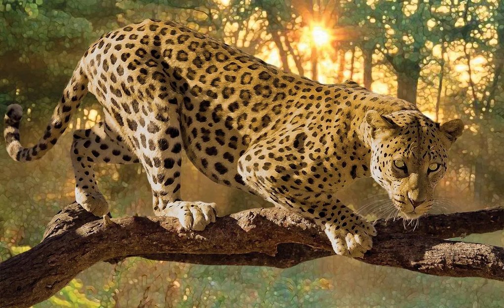 Fototapet - Jaguar Forest Woods (152,5x104 cm)