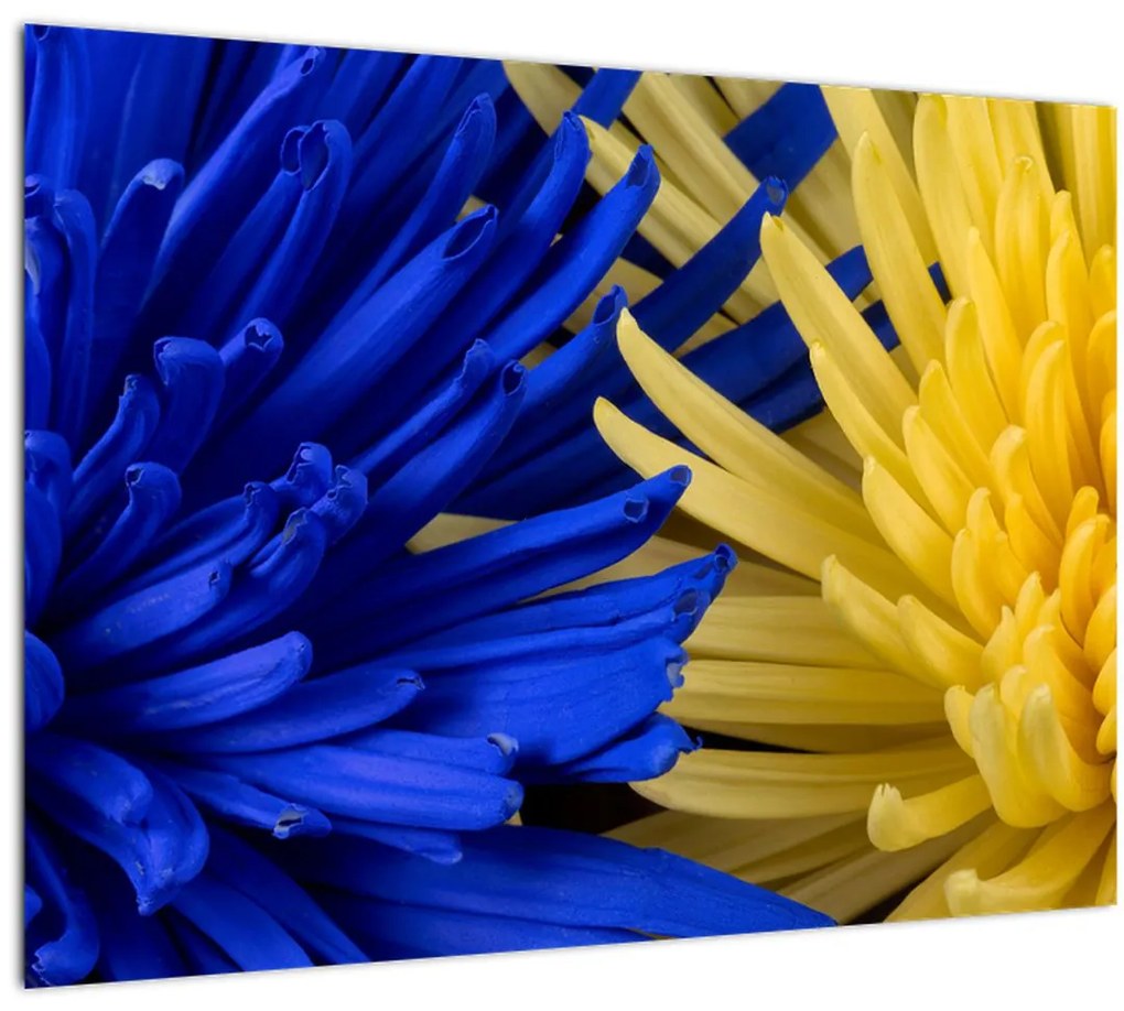 Tablou - detaliu florilor (70x50 cm), în 40 de alte dimensiuni noi