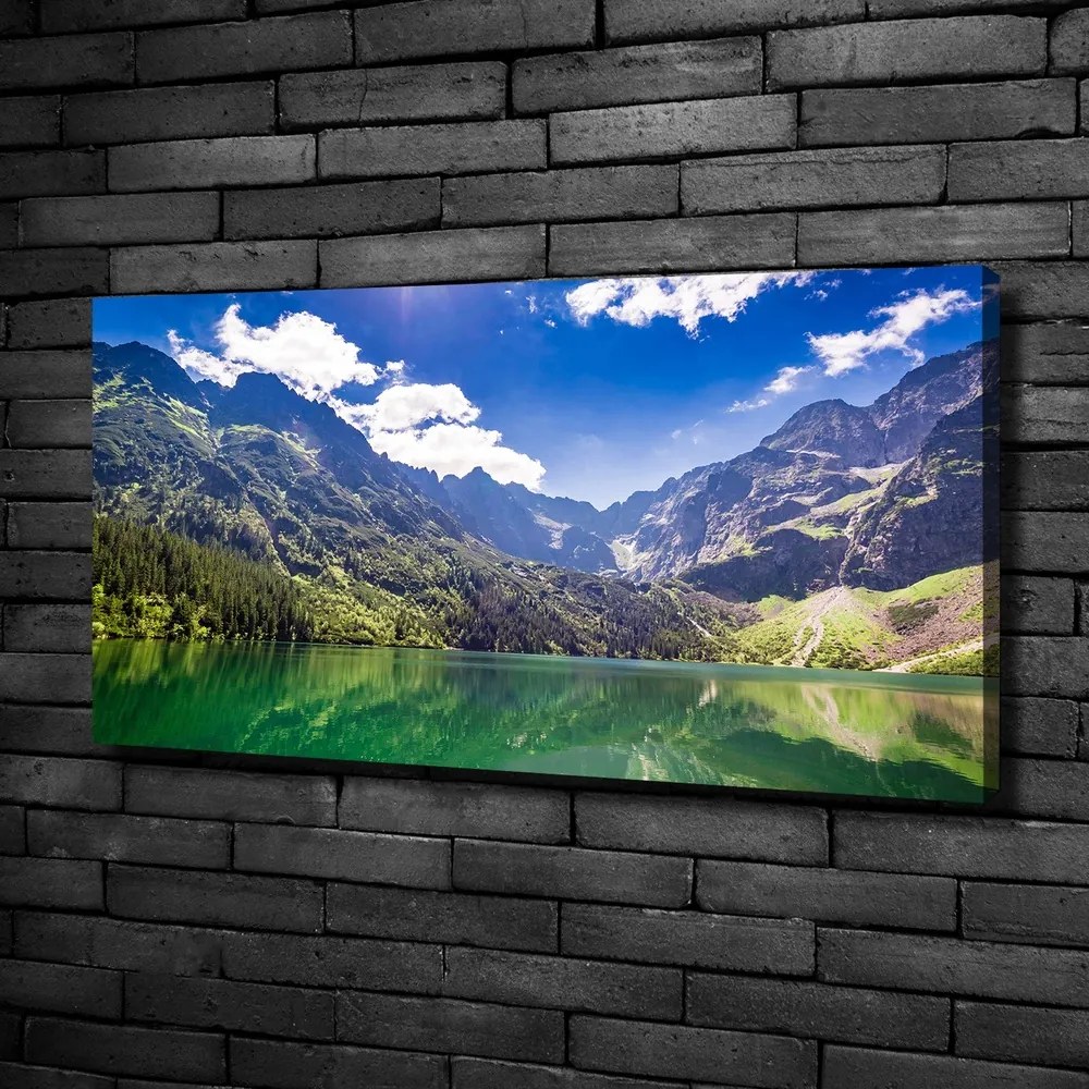 Tablou pe pânză Marine ochi tatry