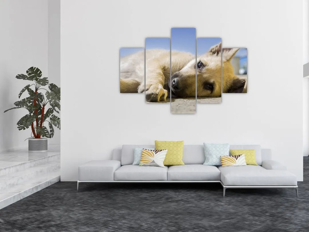 Tablou cu cățeluș dormind (150x105 cm)