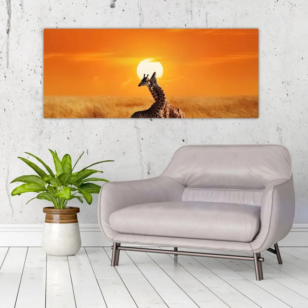 Tablou - Girafe în Parcul Național Serengeti (120x50 cm)