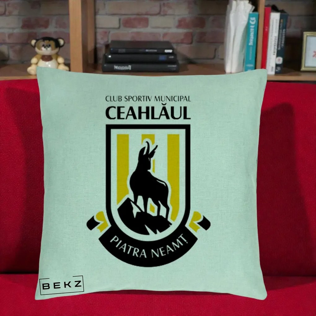 Perna Personalizata CSM Ceahlaul Piatra Neamt Fotbal, 40x40 cm, Verde Menta, Husa Detasabila, Perna Inclusa, BEKZ®