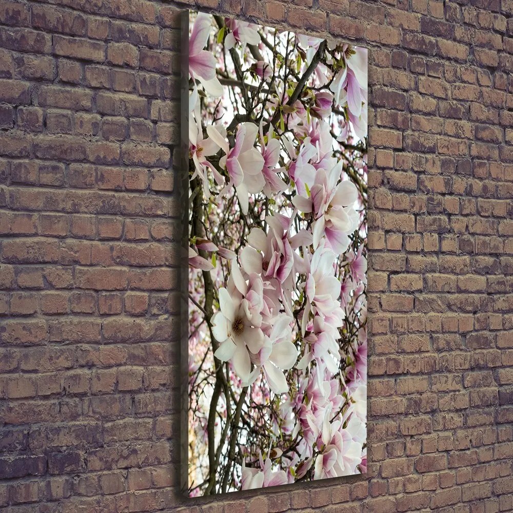 Print pe pânză Flori magnolia