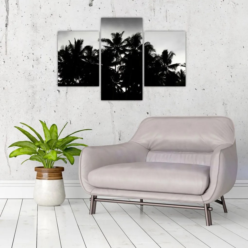 Tablou alb negru - palmieri (90x60 cm)