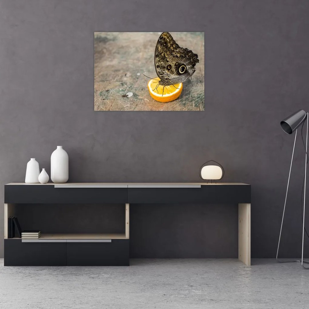 Tablou cu fluturi (70x50 cm)