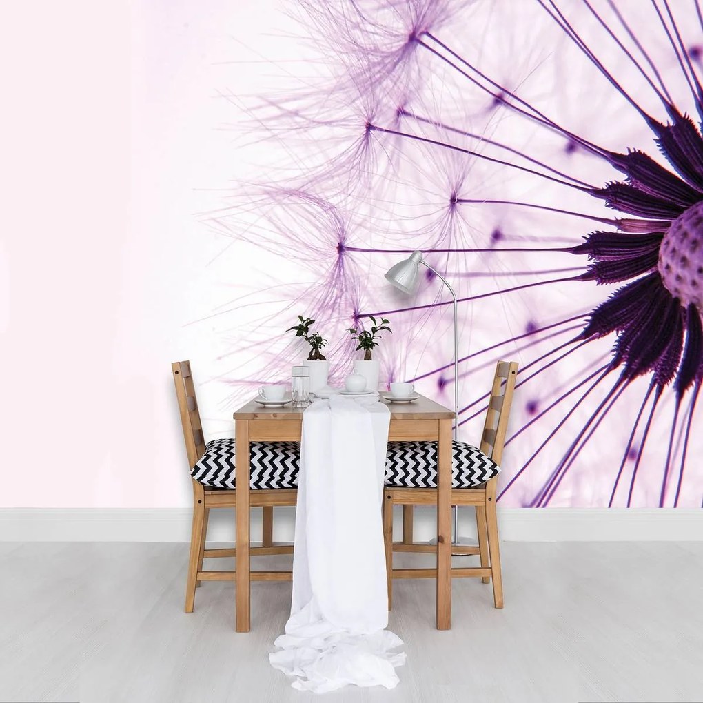 Fototapet - Păpădie - violetă (152,5x104 cm)