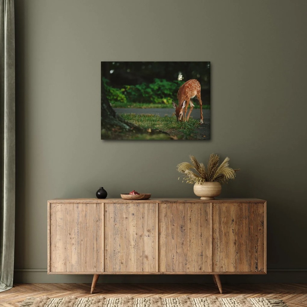 Tablou cu pui de cerb (70x50 cm)