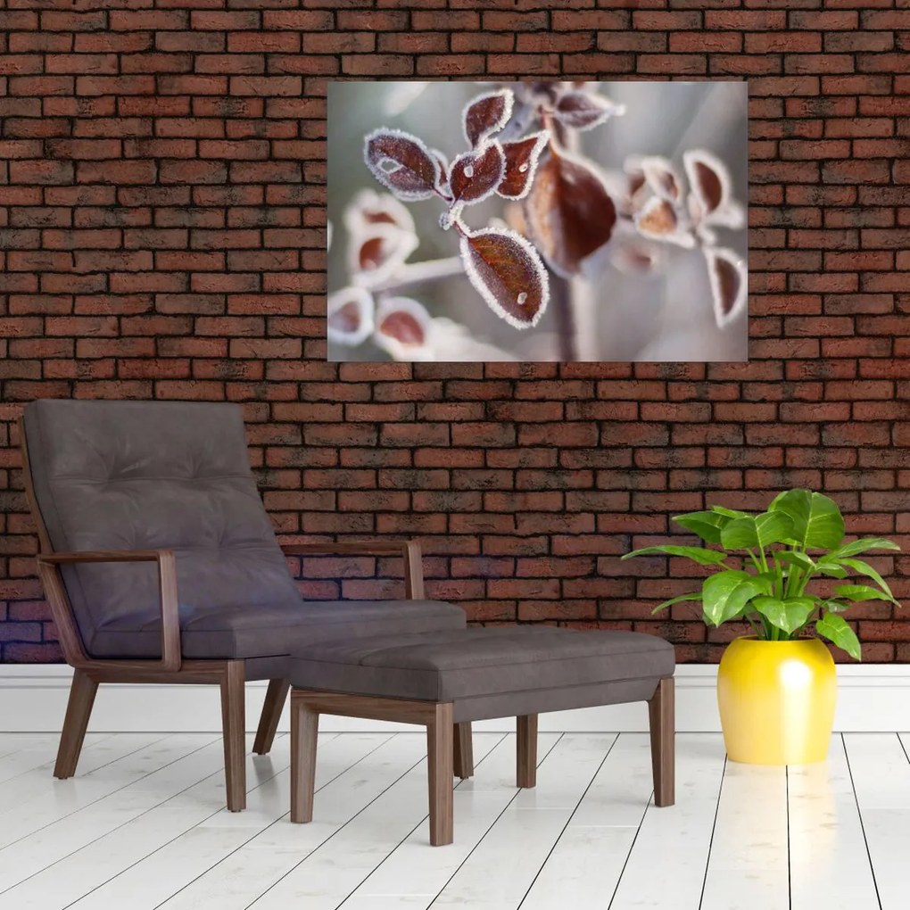 Tablou - Detaliu frunze (90x60 cm)