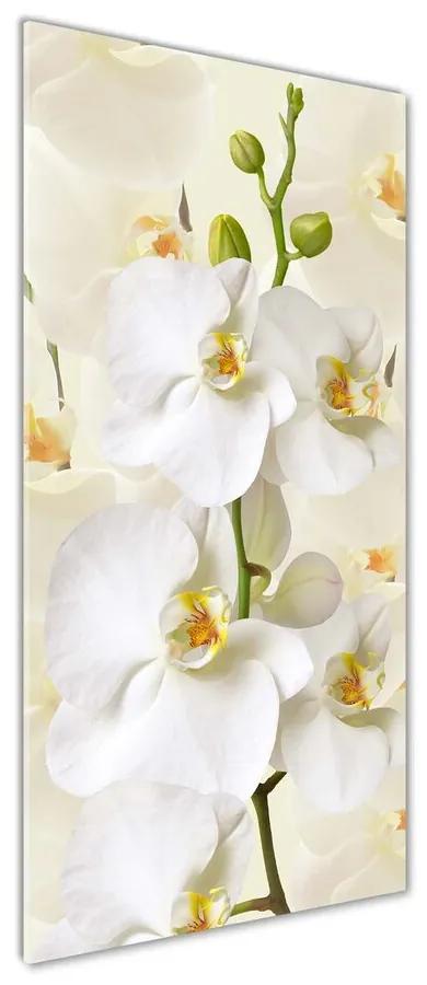 Tablou sticlă Alb orhidee