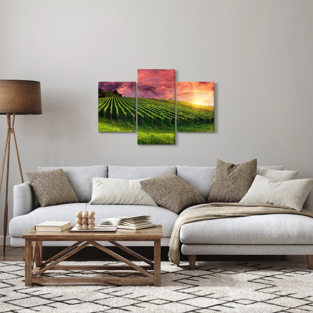 Tablou cu vie cu cerul color (90x60 cm)