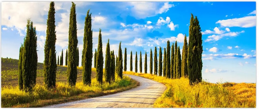 Tablou - Peisaj (120x50 cm)