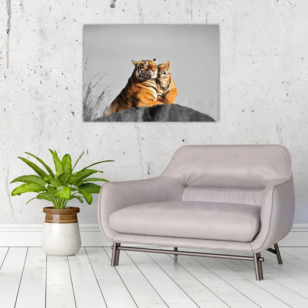 Tablou - Tigroaica cu pui, versiunea alb-negru (70x50 cm)