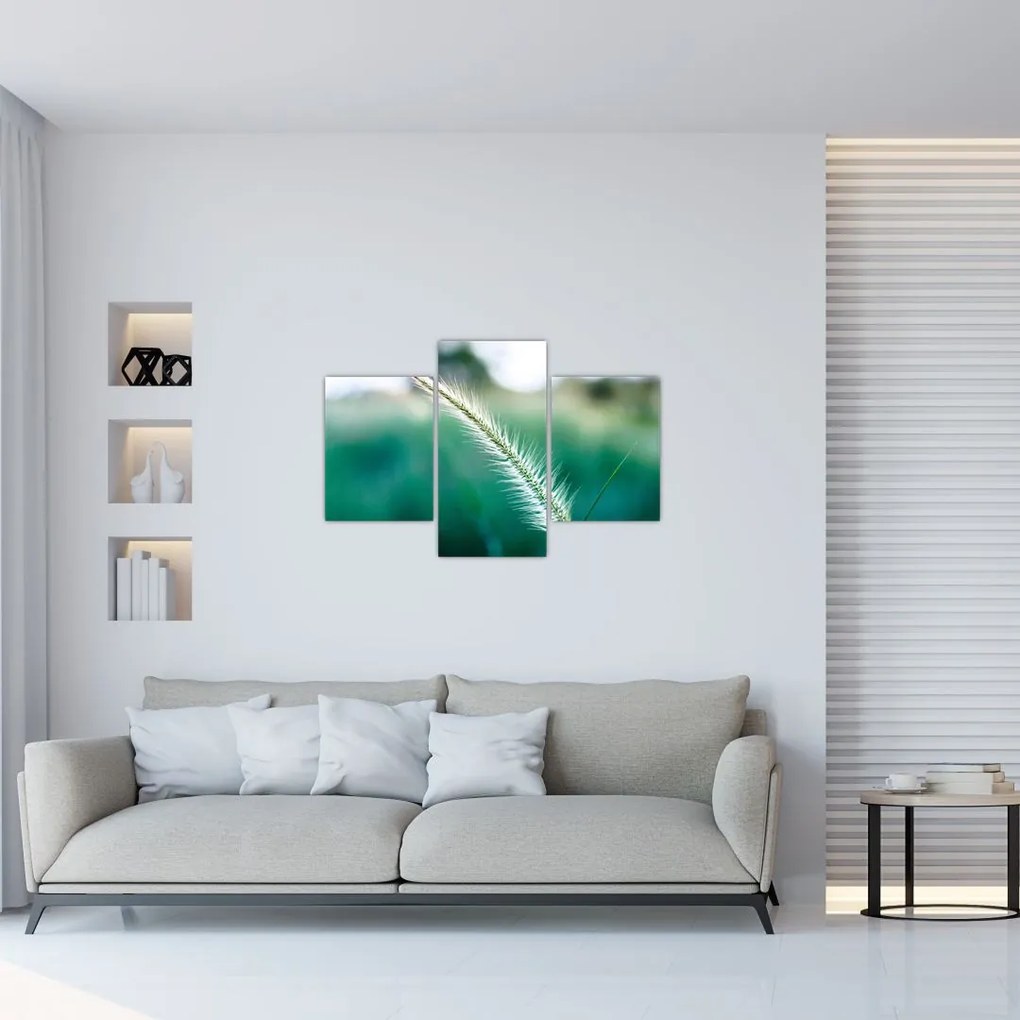 Tablou cu fir de iarbă (90x60 cm)