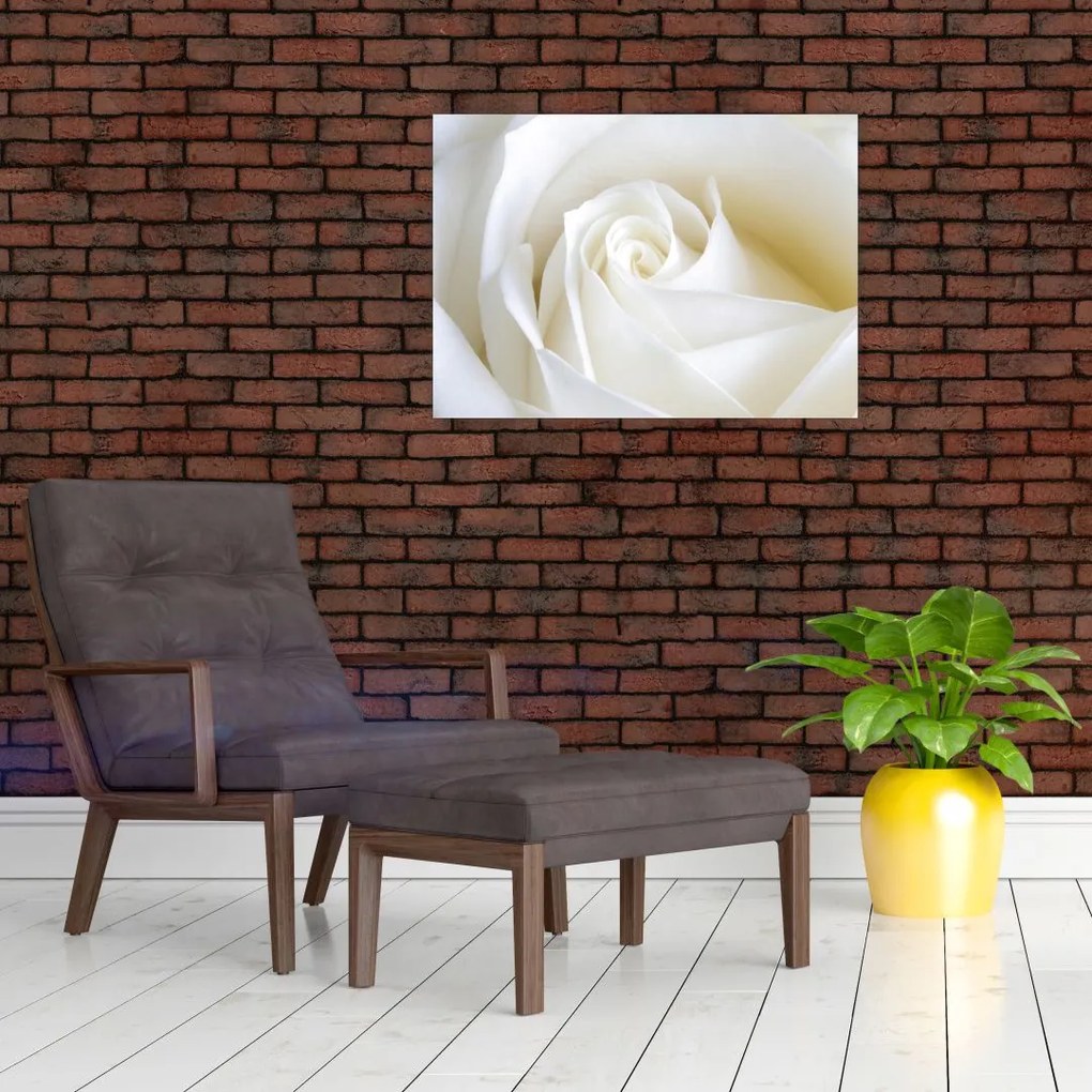 Tablou cu tandafir alb (70x50 cm)