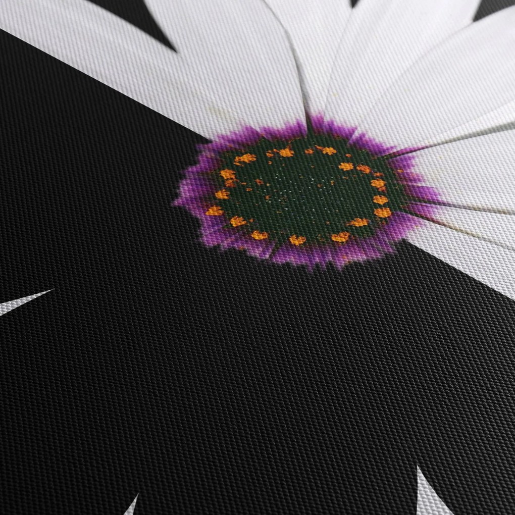Tablou - Floare, alb- negru (90x60 cm)