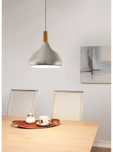 Eglo 901181 - Pendul pe cablu SABINAR 1xE27/60W/230V Ø28 cm argintiu