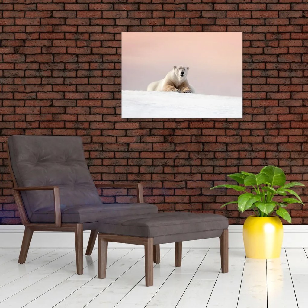 Tablou - Urs polar (70x50 cm)