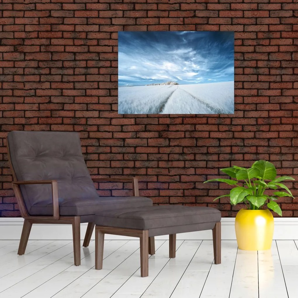 Tablou - Câmp (70x50 cm)