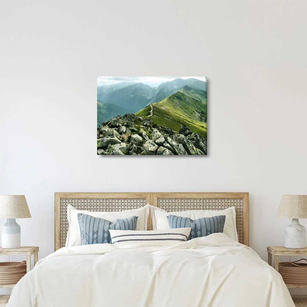 Tablou - Peisaj montan (70x50 cm)