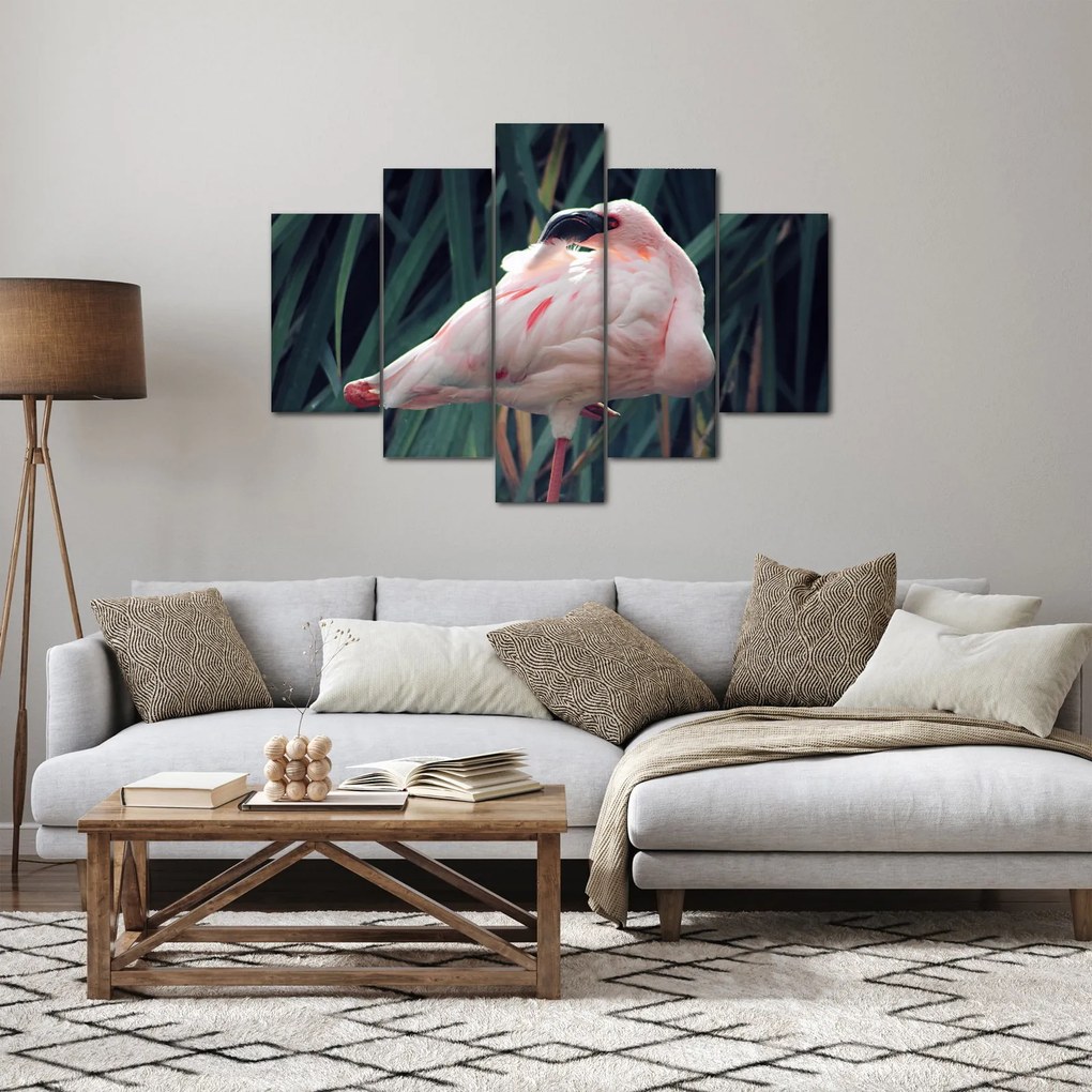 Tablou - Pasărea Flamengo (150x105 cm)