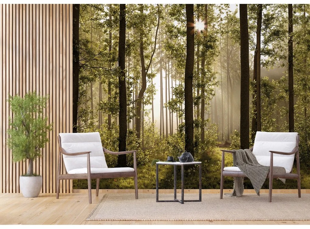 Fototapetă XXL Forest 360 x 254 cm, 4 părți
