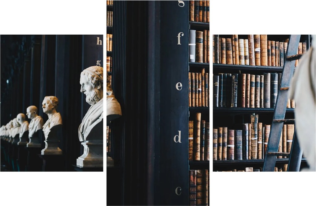 Tablou - La bibliotecă (90x60 cm)