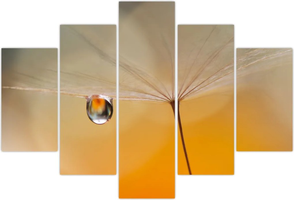 Tablou - Flori macro (150x105 cm)