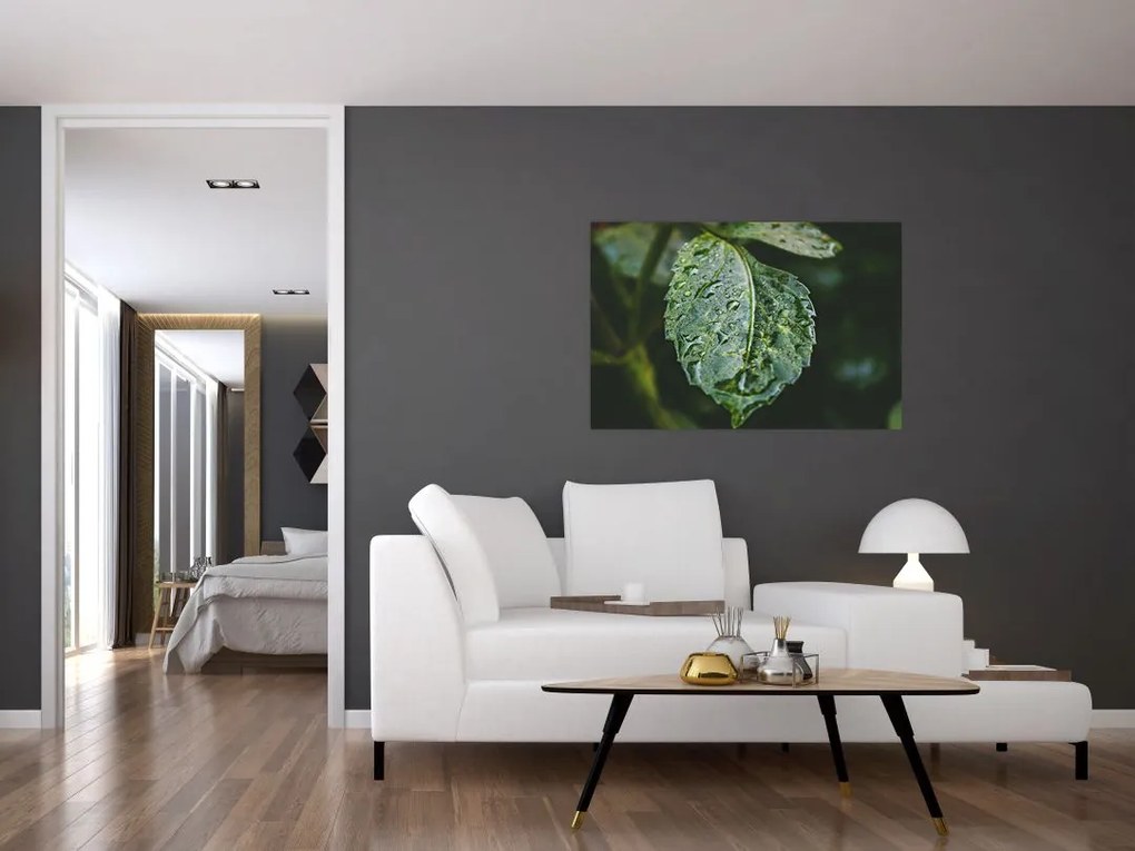 Tablou - picături pe frunză (90x60 cm)