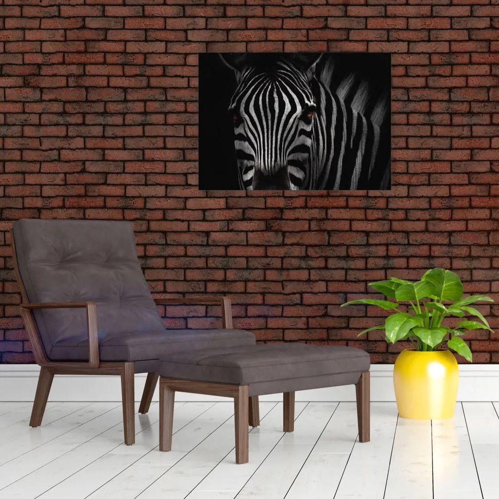 Tablou cu zebră (70x50 cm)