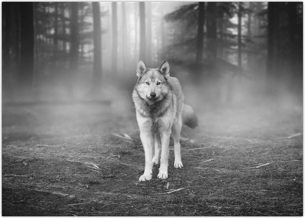 Tablou - Paznicul pădurii (70x50 cm)