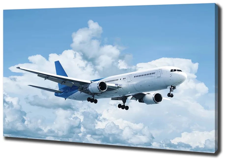 Print pe pânză Avionul în cer