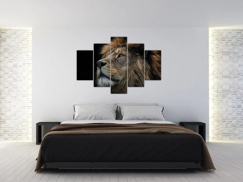 Tablou - Leul maiestuos (150x105 cm)
