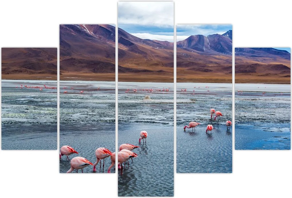 Tablou - Flamingo (150x105 cm)