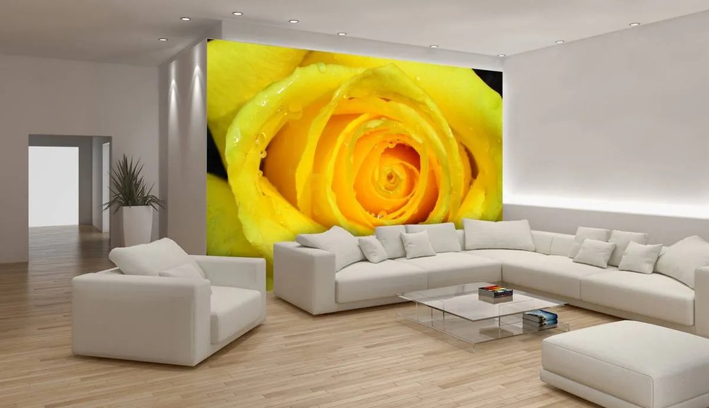 Fototapet - Trandafir galben (152,5x104 cm)
