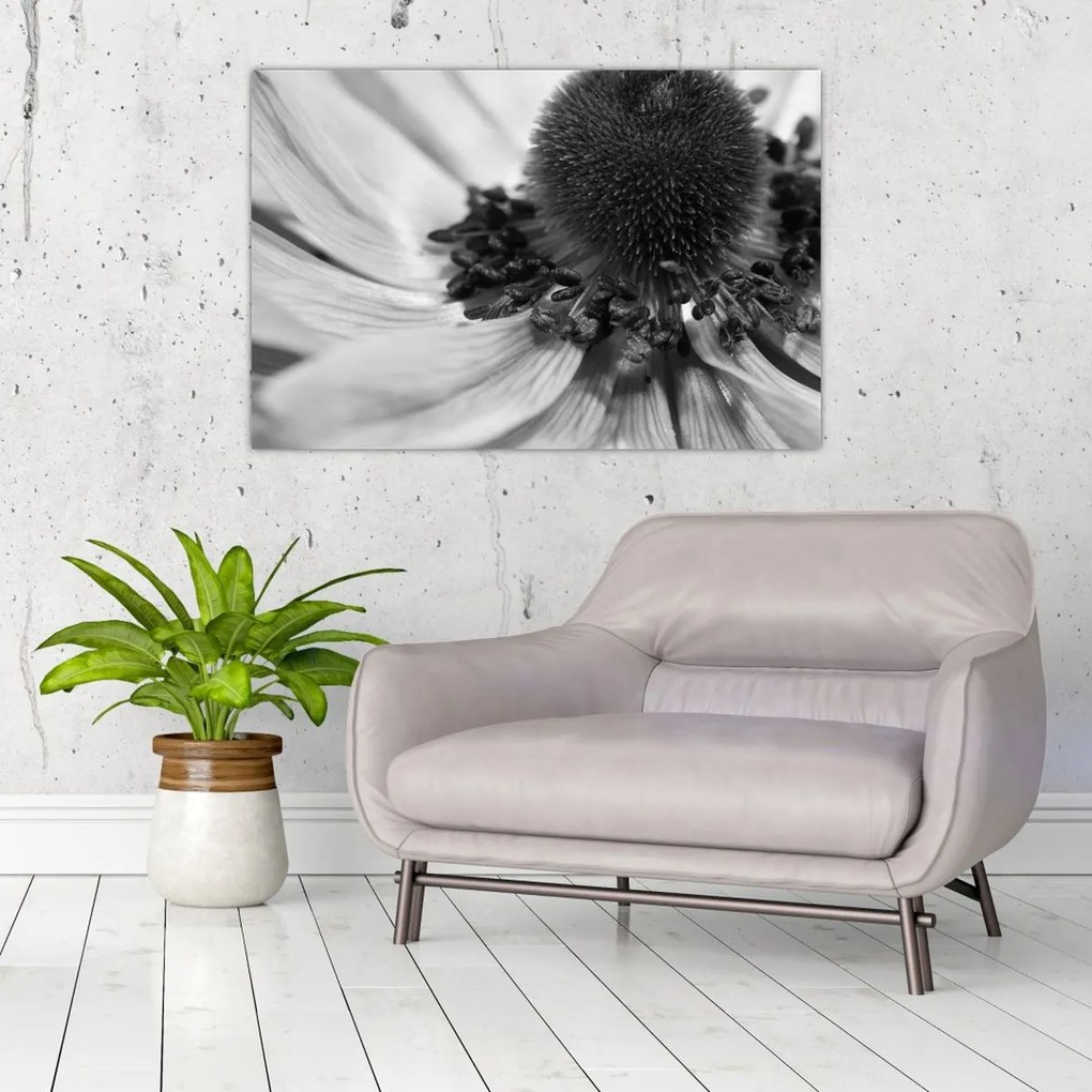 Tablou - Floare în alb-negru (90x60 cm)