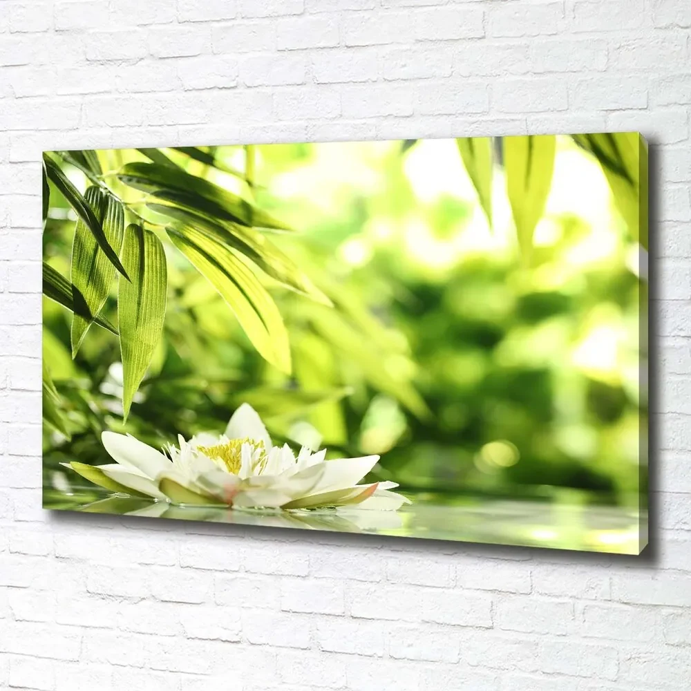 Tablou pe pânză canvas Nufăr
