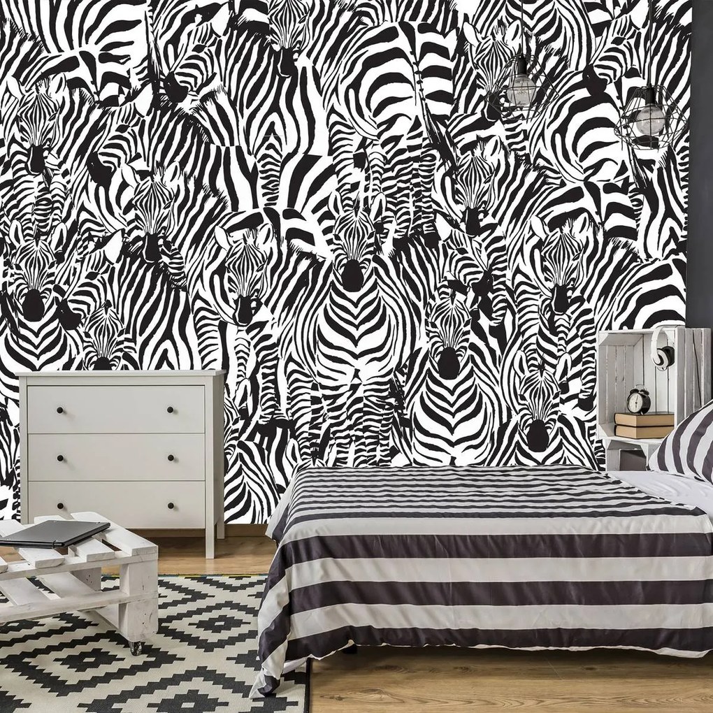 Fototapet - Zebra (254x184 cm)
