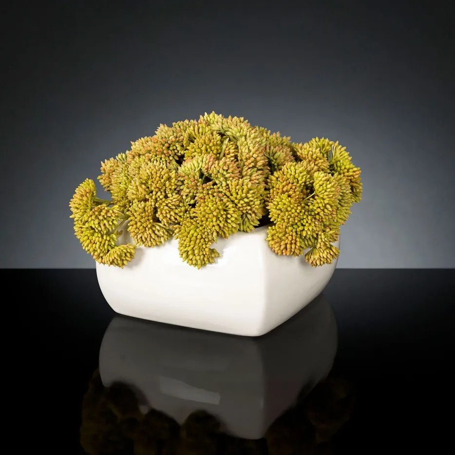 Aranjament floral mic decor festiv design LUX SEDUM PLANT