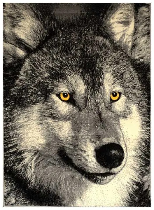 Covor Kolibri Lup 11395 Selectează mărime: 120 X 170