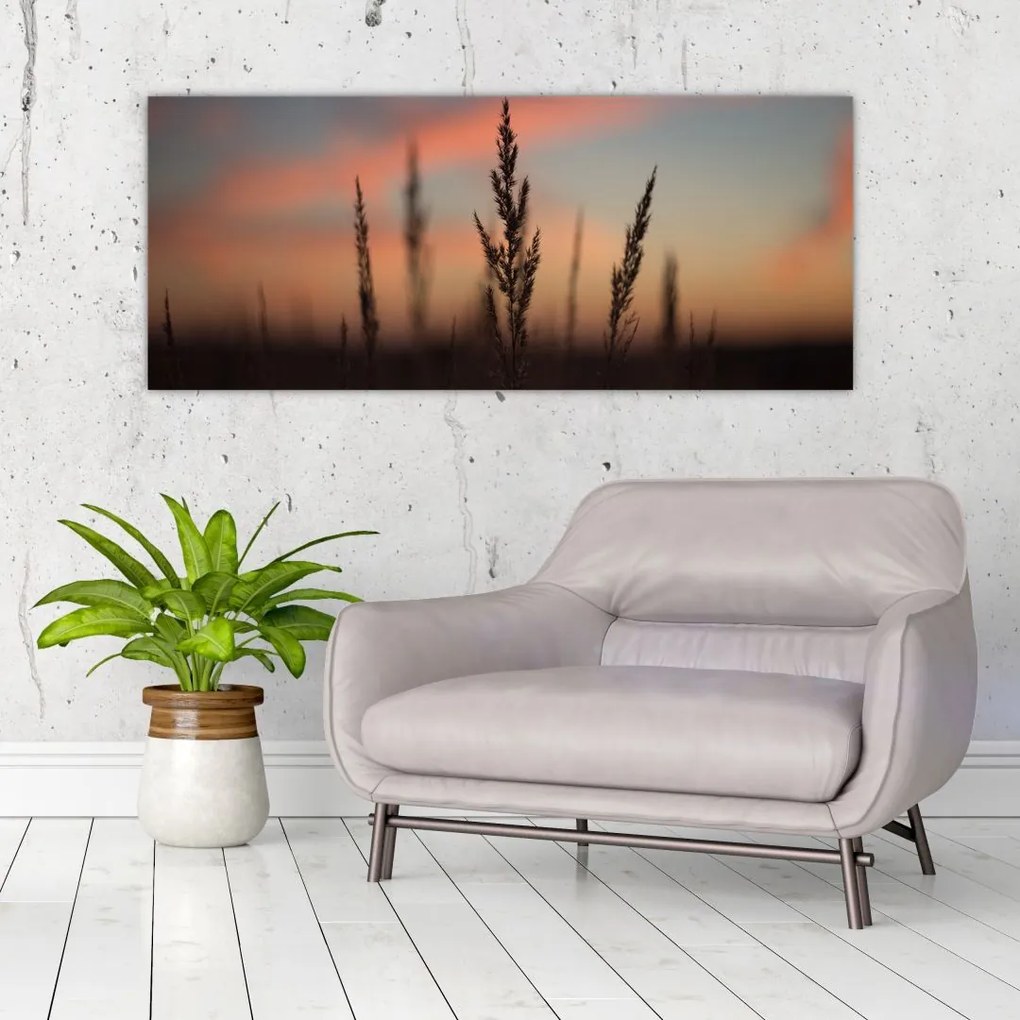Tablou - Silueta plantei (120x50 cm)