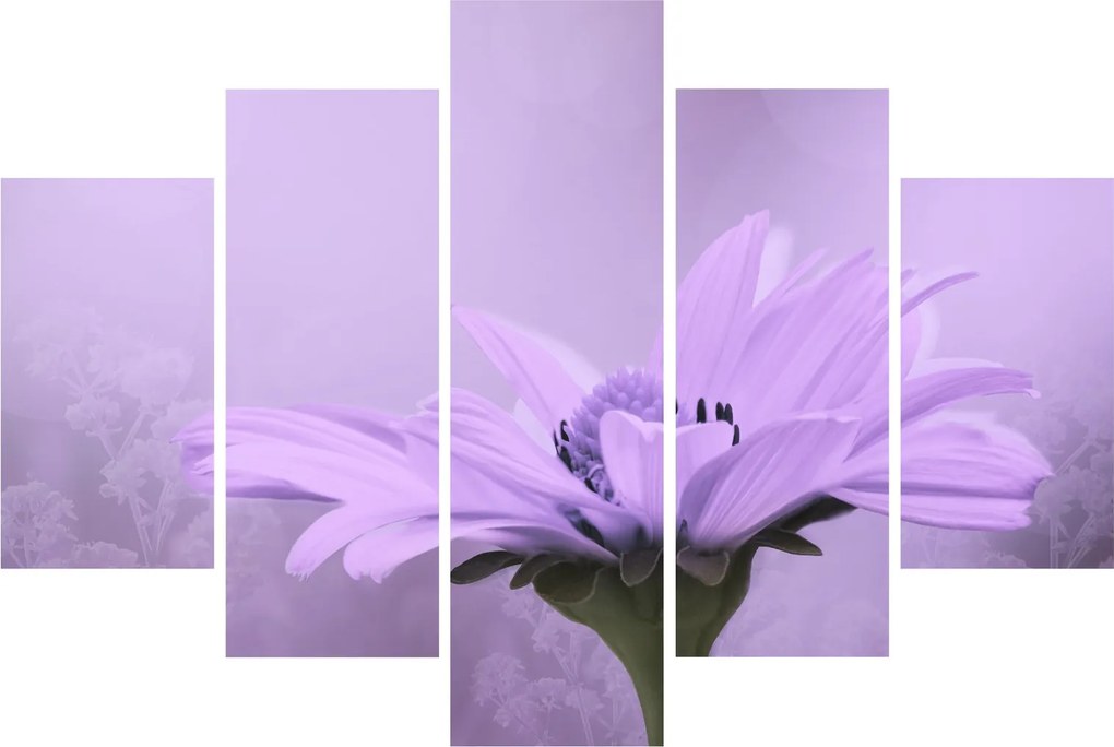 Tablou - Flori mov (150x105 cm)