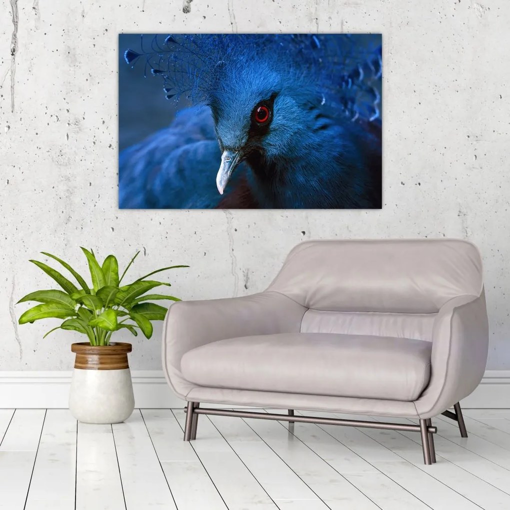 Tablou - Porumbel încoronat (90x60 cm)