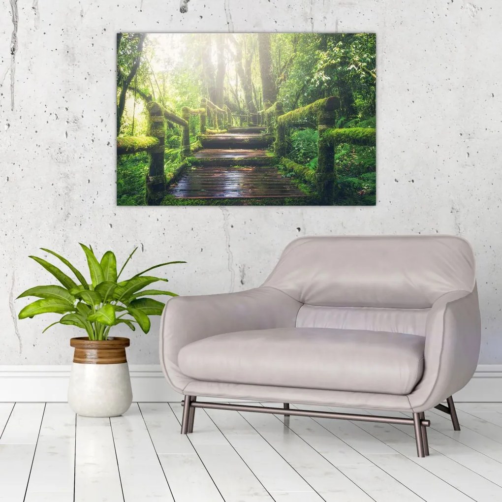 Tablou - trepte din lemn în pădure (90x60 cm)